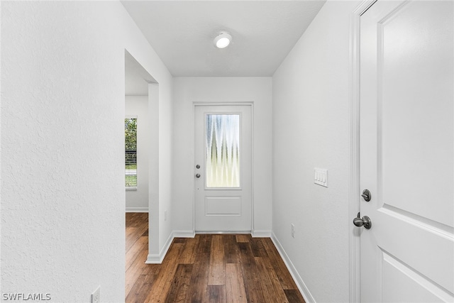 entryway with dark hardwood / wood-style flooring