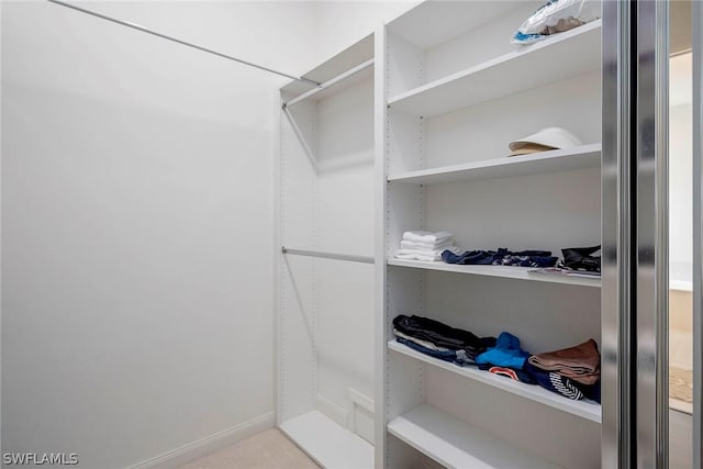 view of spacious closet