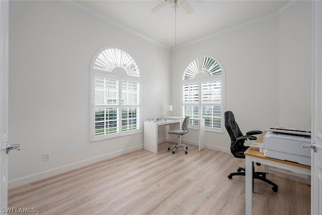 office featuring ceiling fan, light hardwood / wood-style floors, and crown molding