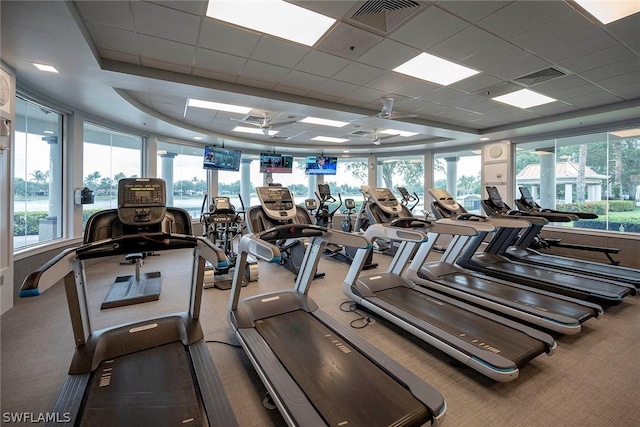 exercise room featuring ceiling fan, a drop ceiling, and carpet floors