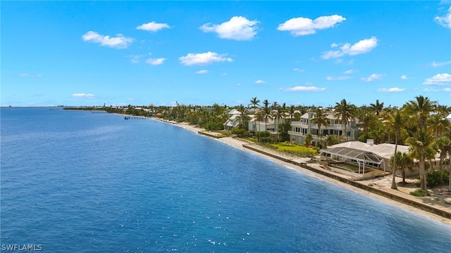 water view featuring a beach view