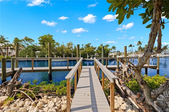 dock area featuring a water view