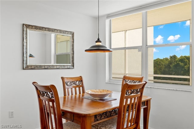 dining area featuring a healthy amount of sunlight