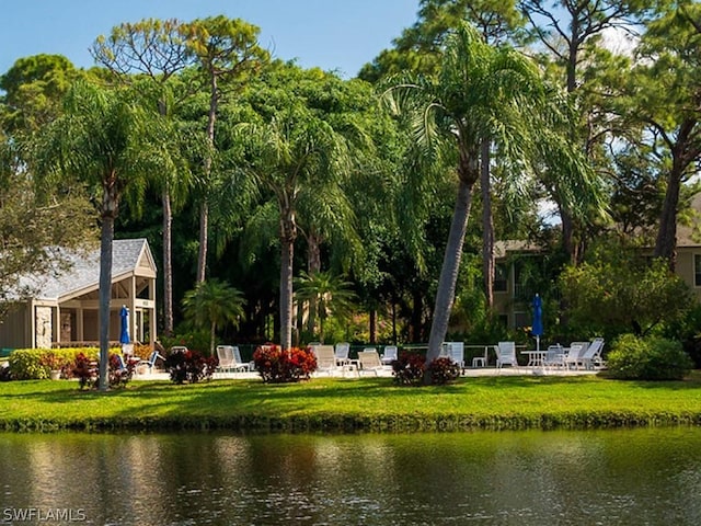 view of home's community with a water view