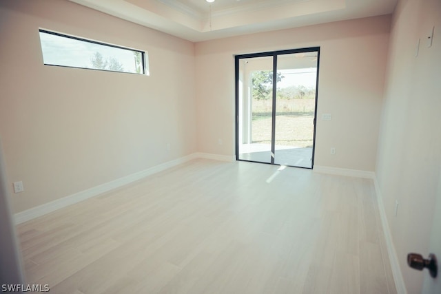 spare room with a tray ceiling and hardwood / wood-style floors