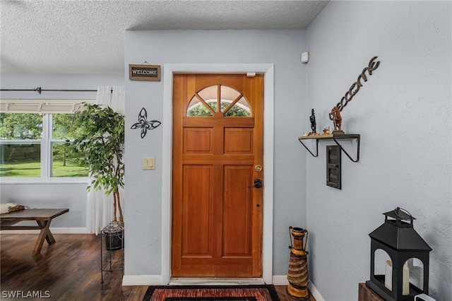 foyer entrance with plenty of natural light, dark hardwood / wood-style floors, and a textured ceiling