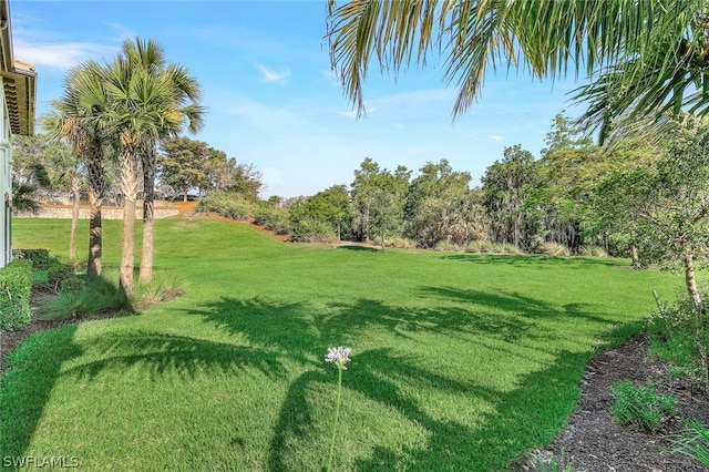 16348 Viansa Way Unit 102, Naples, FL 34110 - view of grassy yard