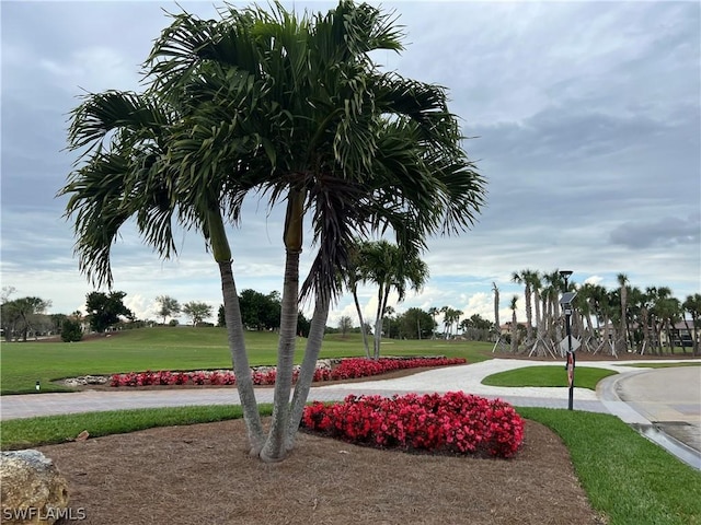 view of property's community featuring a yard