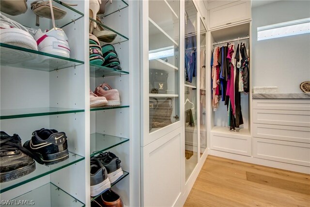 spacious closet featuring light hardwood / wood-style flooring