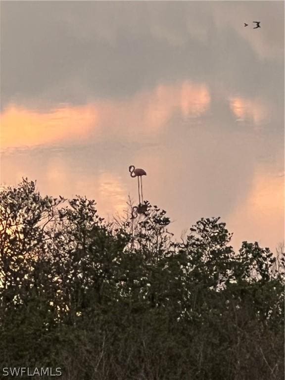 view of nature at dusk