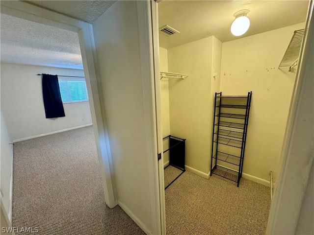 spacious closet with light colored carpet