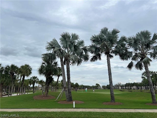 view of property's community featuring a lawn