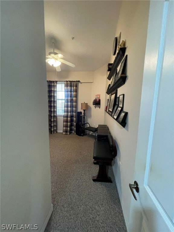 exercise area featuring carpet and ceiling fan