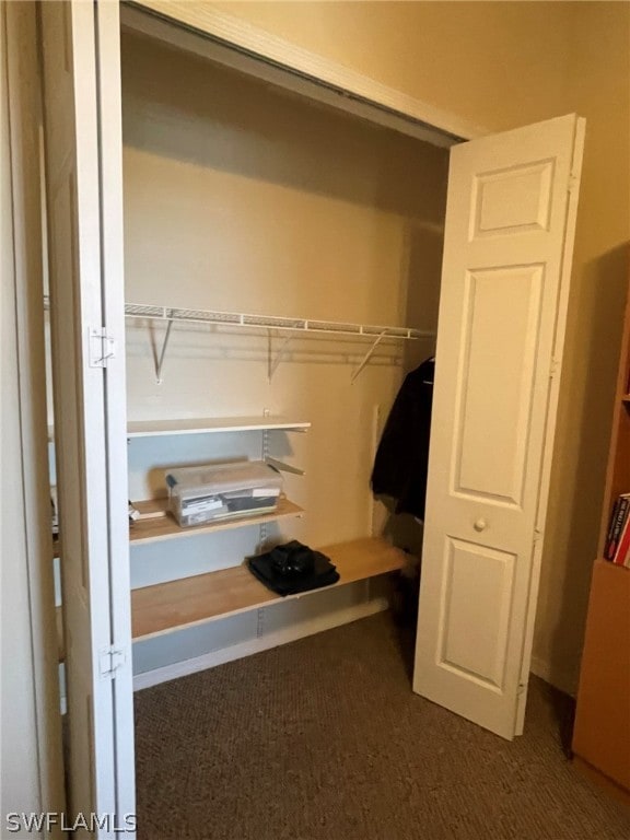 spacious closet featuring carpet flooring