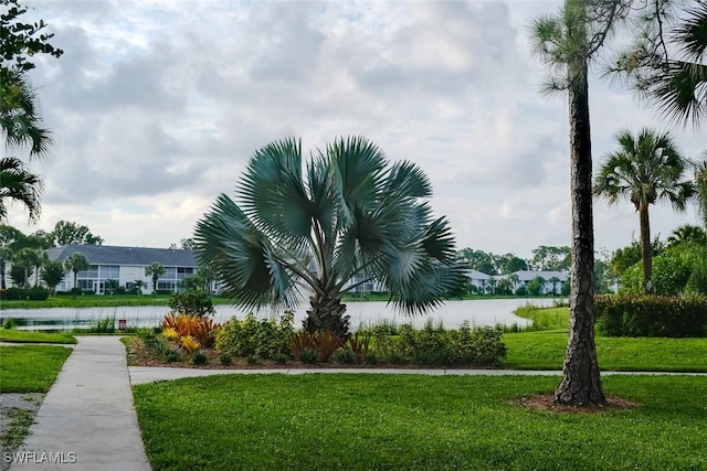 view of property's community featuring a lawn and a water view