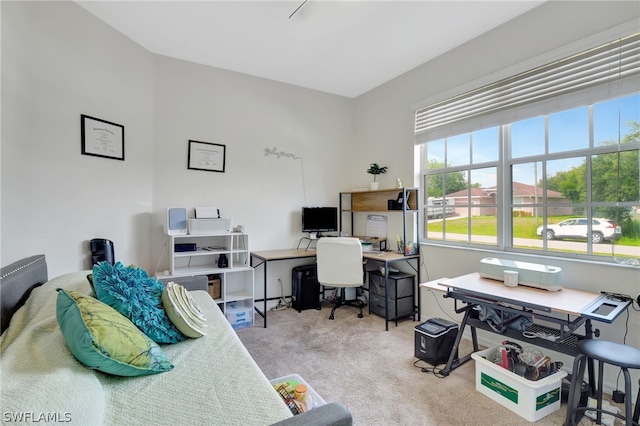 interior space featuring light colored carpet