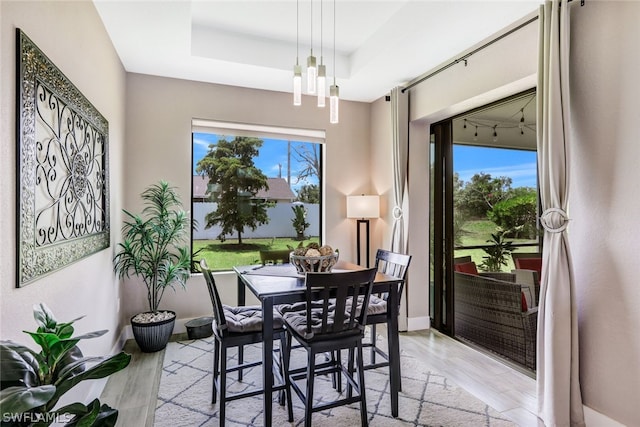 dining room featuring a wealth of natural light, a tray ceiling, baseboards, and light wood finished floors