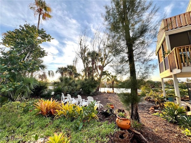 view of yard with a balcony