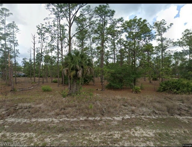 913 Johns Ave, Lehigh Acres FL, 33972 land for sale