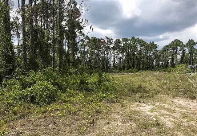 1157 Damen St E, Lehigh Acres FL, 33974 land for sale