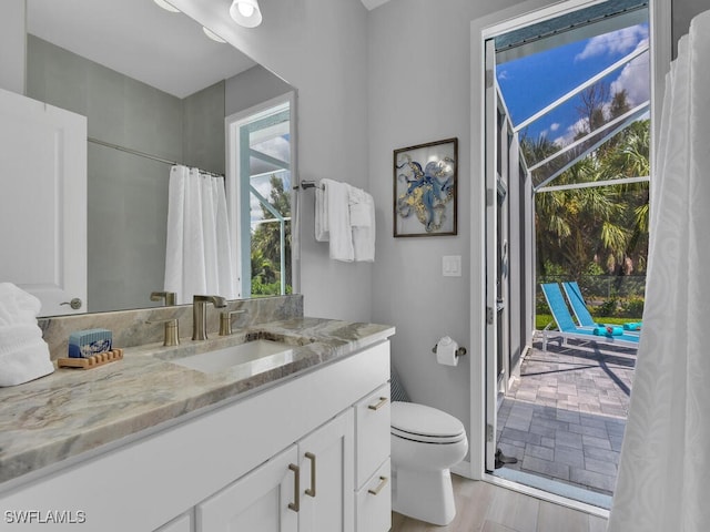 bathroom featuring vanity, toilet, and wood-type flooring