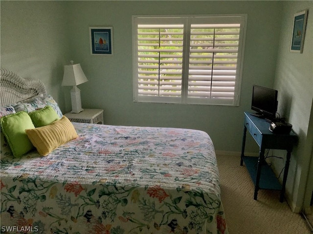 bedroom with carpet flooring