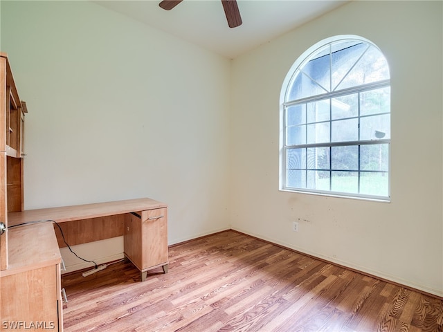 unfurnished office with ceiling fan, a wealth of natural light, and light hardwood / wood-style floors