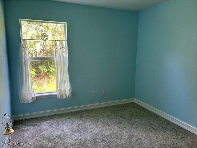 carpeted spare room with plenty of natural light