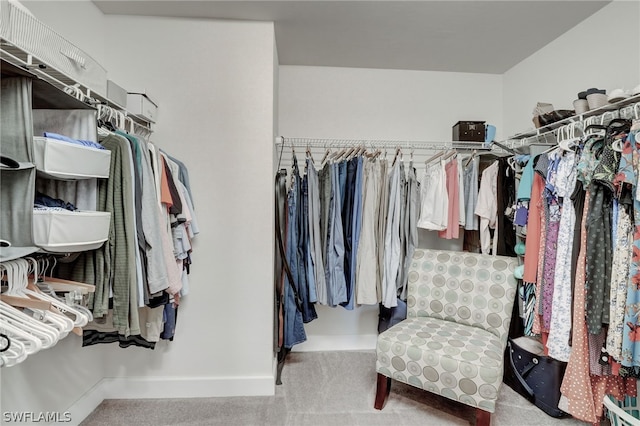 spacious closet with carpet