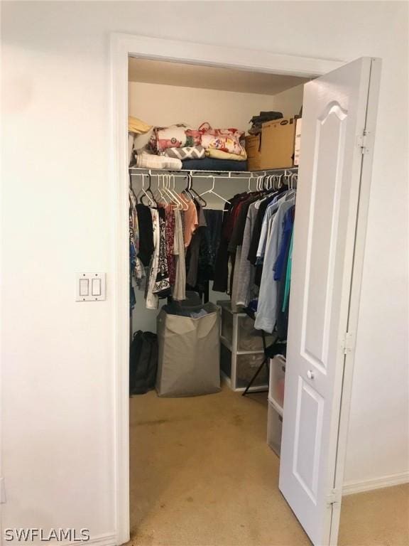 view of walk in closet