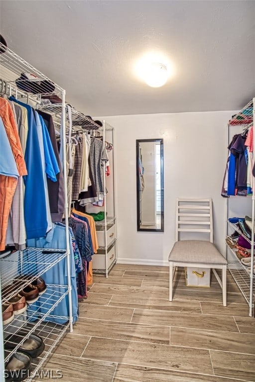 spacious closet with hardwood / wood-style flooring