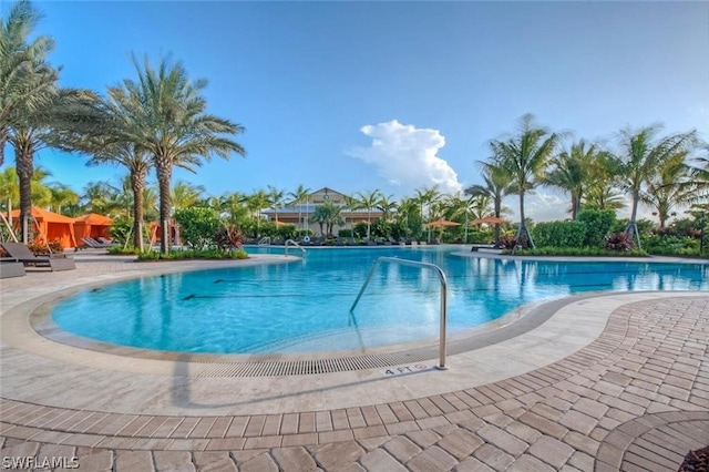 view of swimming pool featuring a patio area