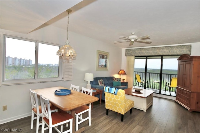 dining room featuring ceiling fan with notable chandelier and dark hardwood / wood-style floors