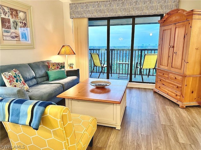 living room featuring light hardwood / wood-style floors and a water view