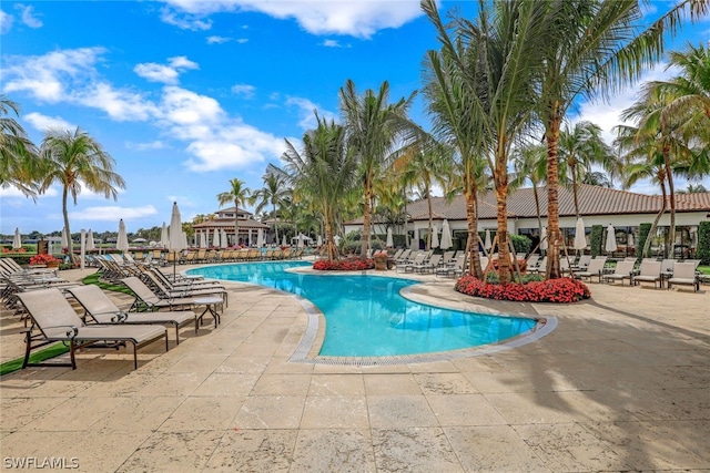 view of swimming pool with a patio