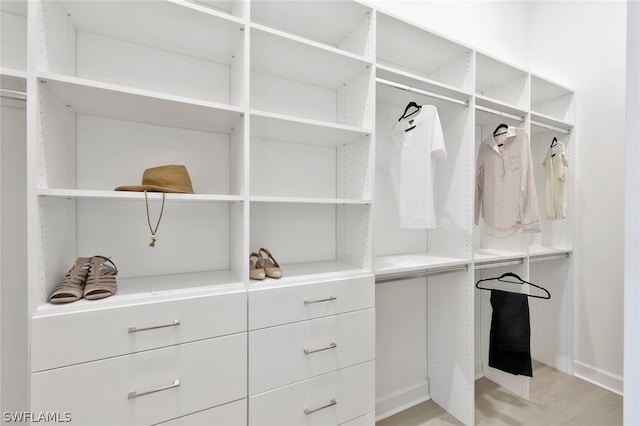 view of walk in closet