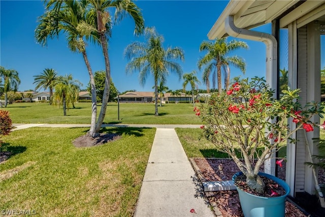 view of community featuring a lawn