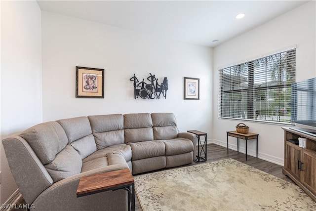 living room featuring dark hardwood / wood-style floors