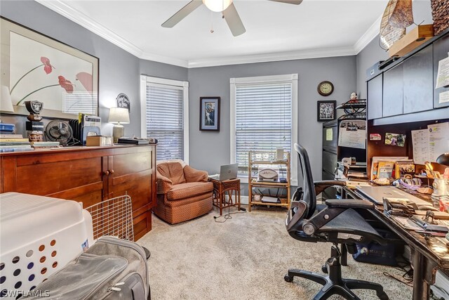 carpeted office with crown molding and ceiling fan