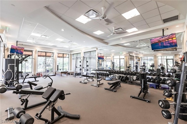 workout area featuring a paneled ceiling, ceiling fan, and carpet flooring