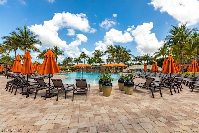 view of swimming pool with a patio