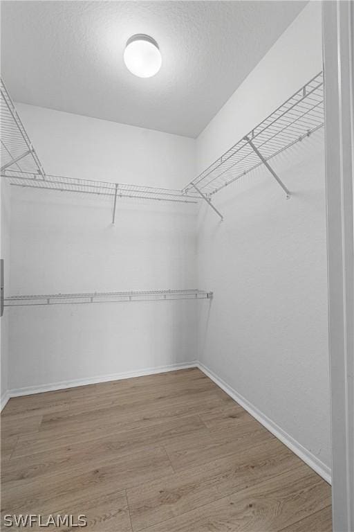 spacious closet with wood-type flooring