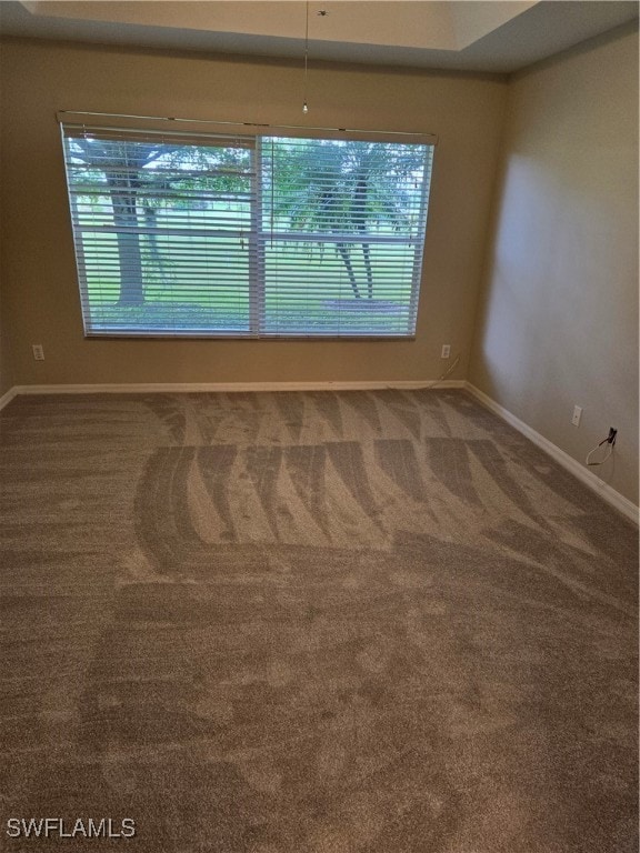 unfurnished room with carpet floors