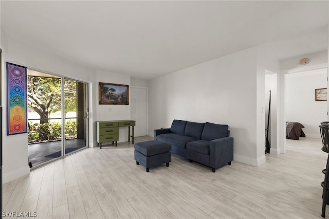 living room featuring light wood-type flooring