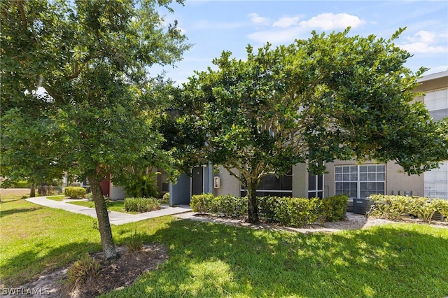 obstructed view of property with a front lawn