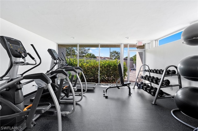 exercise room featuring a healthy amount of sunlight and expansive windows