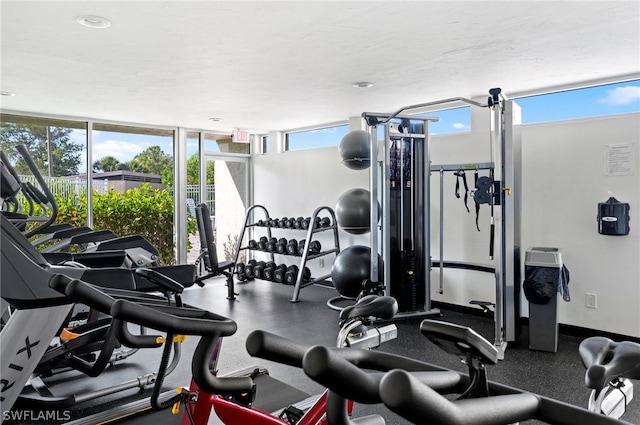 workout area featuring a wealth of natural light