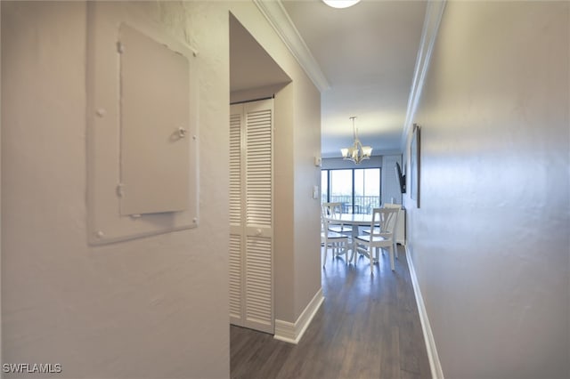 hallway featuring a chandelier, dark wood-type flooring, and crown molding