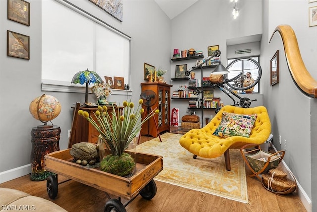 living area featuring hardwood / wood-style flooring and high vaulted ceiling