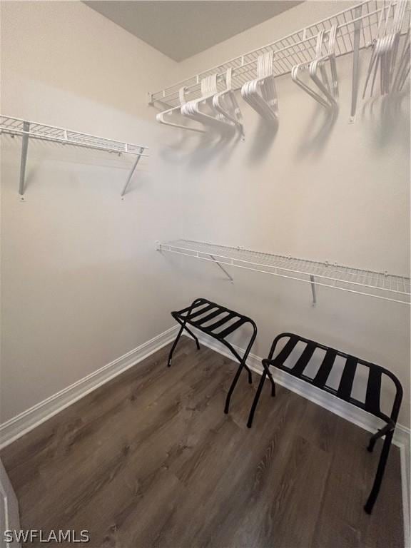 spacious closet featuring dark hardwood / wood-style floors